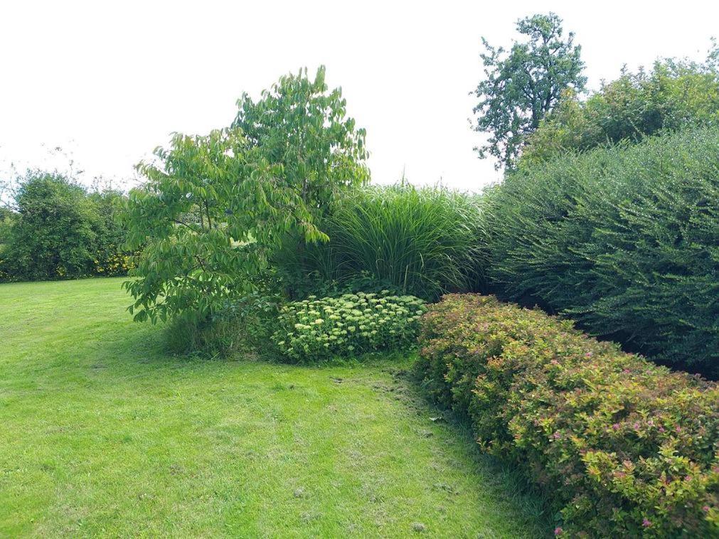 Maison Berton Gedinne ภายนอก รูปภาพ